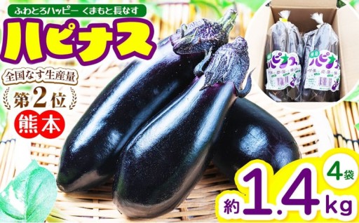 ハピナス 玉名市産 長なす 約 1.4㎏（300ｇ～400ｇ×4袋）