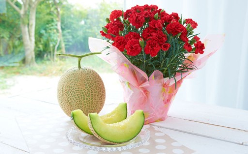 《 母の日 》 マスクメロン1玉とカーネーション1鉢