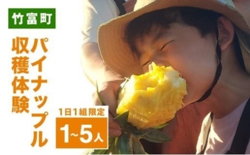 朝日を浴びて『パイナップル収穫体験』♪