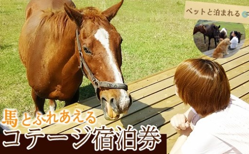 馬とふれあう&ペットと宿泊できる！ コテージPOSY　1泊2日宿泊券（1名様分）【霧島アート牧場】