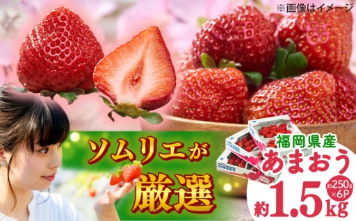 【申込は3/22まで】フルーツソムリエ厳選あまおう🍓