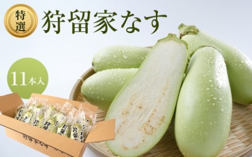 【先行予約】狩留家なす 11本 ≪2026年7月～発送開始≫