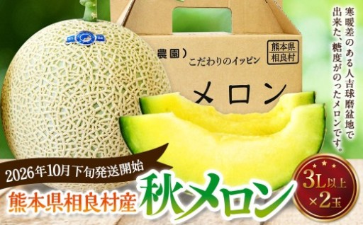 相良村産 秋メロン（アールス） 2玉（3L以上）