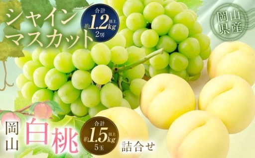 桃 ぶどう 2026年 先行予約 岡山 白桃 5玉 と シャイン マスカット 2房 詰合せ