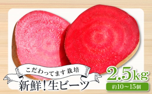 【季節限定】心も体も喜ぶ！島根の自然が育てた魔法のビーツ✨