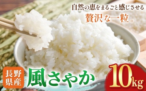 木島平村産 風さやか 約10kg