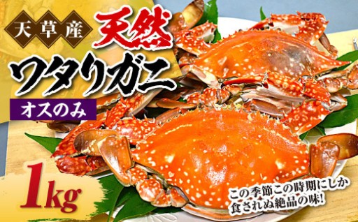 天草産 天然ワタリガニ オスのみ 1kg 3～6杯