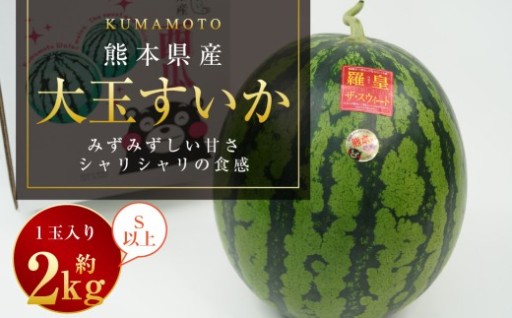 大玉すいか 1玉入り S以上 約2kg 【2026年5月上旬～2026年6月下旬発送予定】