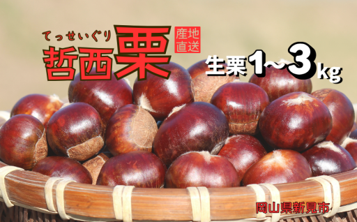 先行予約開始！「幻の栗」哲西栗を10月限定出荷！