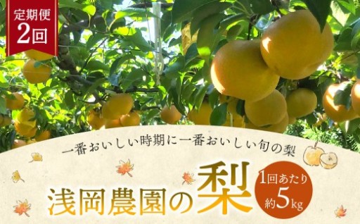 浅岡農園の梨 約5kg【2回定期便 2026年9月･10月発送】