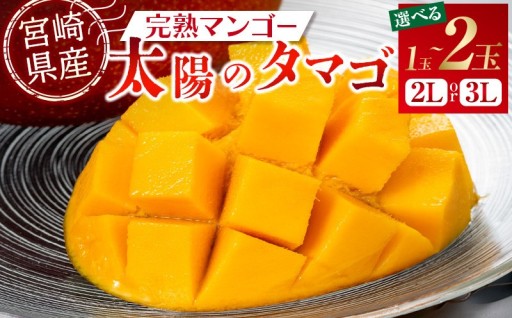 【宮崎県宮崎市】完熟マンゴー 太陽のタマゴ🥭