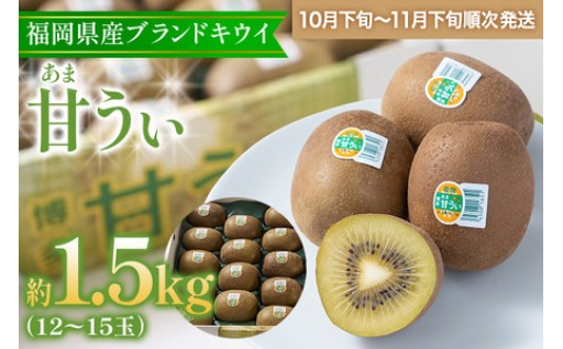 【先行予約スタート🏃】福岡県産ブランドキウイ「甘うぃ」 約1.5kg(12-15玉)🥝