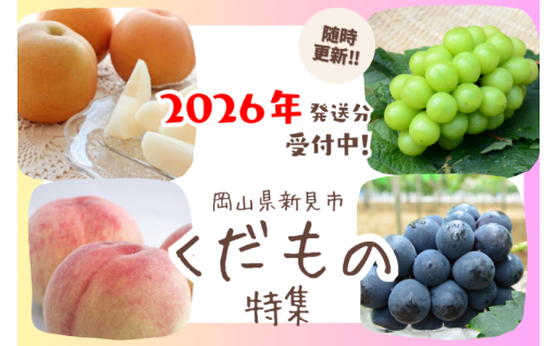 毎年人気の「果物」返礼品、どどっと先行予約受付中です！