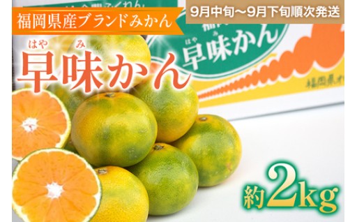 【今期の予約受付始まりました！】🍊福岡県産ブランドみかん 「早味かん」 約4kg🍊