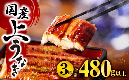 【宮崎県宮崎市】うなぎ蒲焼3尾 計480g以上🔥