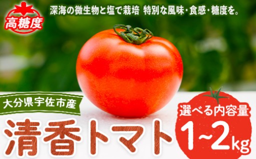 ＜先行予約受付中！4月上旬以降順次発送予定＞＜内容量を選べる！＞清香トマト(1~2kg)