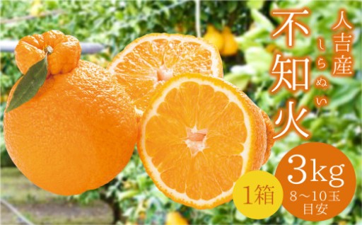 【先行予約】 人吉産 不知火（しらぬい）3kg