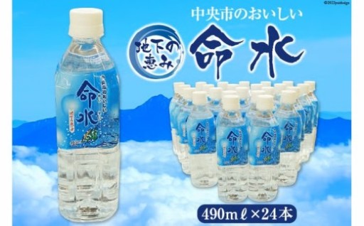 地下の恵み 中央市のおいしい命水 490ml×24本