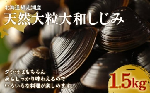 大粒で味の濃いのが特徴！！【網走湖産天然大和しじみ】