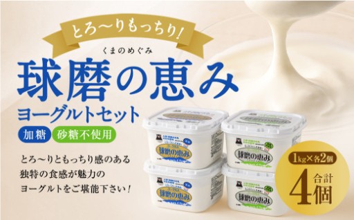 とろ～り食感!!球磨の恵みヨーグルトセット1kg×4パック (加糖・砂糖不使用 各2パック)