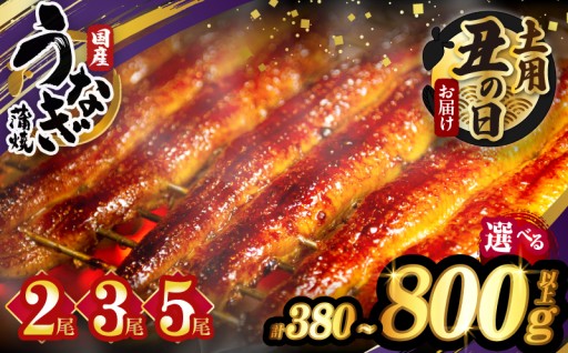 【宮崎県都農町】＼🔥選べる内容量・発送・夏の丑の日🔥／うなぎ蒲焼2尾or3尾or5尾🎁