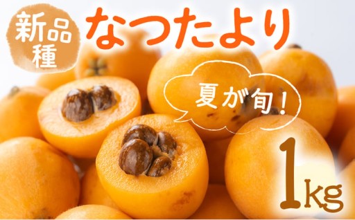 ＜先行予約！2026年5月下旬以降順次発送予定＞なつたより びわ (約1kg)