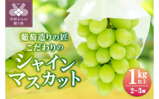 シャインマスカット（こだわり）1.0kg以上