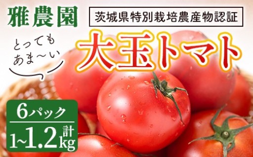 雅農園大玉トマト4パック