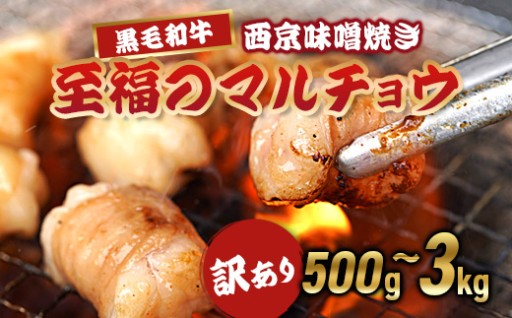 黒毛和牛マルチョウ🔥西京味噌焼き｜たっぷり500g～3kg・ご飯が進む濃厚ホルモン
