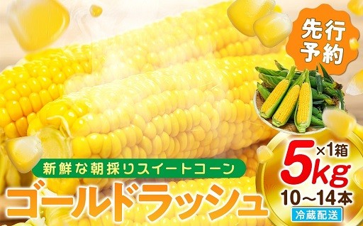 【先行予約 6月下旬から出荷】スイートコーン 約5kg 10～14本