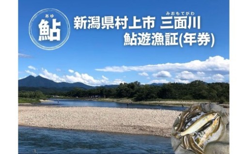 【2026年シーズン用】新潟県村上市「三面川（みおもてがわ）」鮎遊漁証
