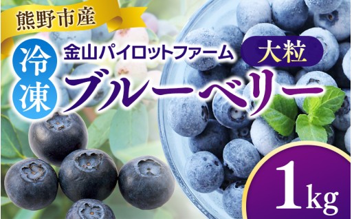 －30℃で急速冷凍！採りたての美味しさを！【先行予約】【数量限定】冷凍 ブルーベリー 1kg