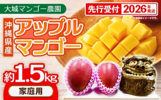 【NEW】大城マンゴー農園 家庭用マンゴー 約1.5kg