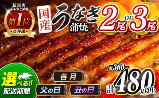 選べる尾数・配送時期🚚💨うなぎ蒲焼2尾or3尾😋