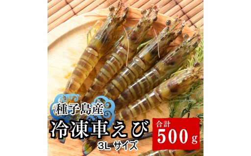 種子島で育った 安全＆元気な 車えび 食べ応え抜群 ジャンボサイズ