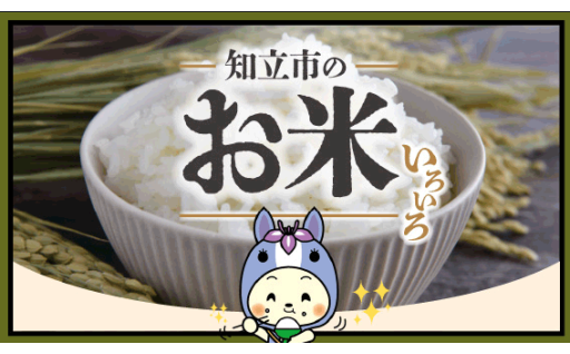 【数量限定】ミルキークイーン（精米）15kg（４月発送）のご案内