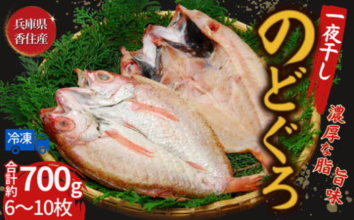 ✨🐟【まさに海の王様！】香住水揚げ！極上のどぐろ一夜干し🐟