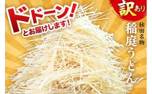 訳あり★稲庭うどん48人前