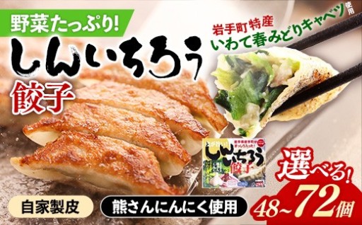 【選べる個数】野菜たっぷり！しんいちろう餃子
