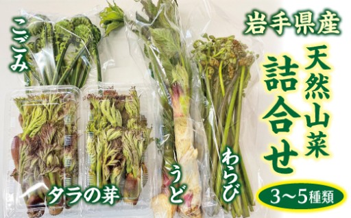 【４月下旬頃～発送】 天然山菜セット ３～５種類