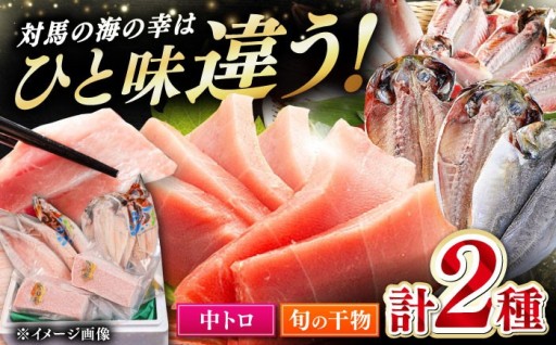 豪華セット！本マグロ中トロと旬の干物