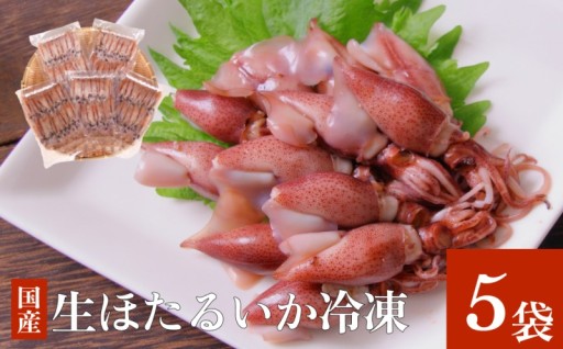 ＼今年もホタルイカの時期がやってきました！／〈冷凍〉生ほたるいか 5袋セット