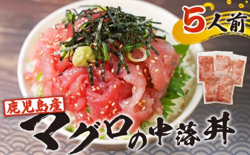 ★3月限定！生活応援★ 鹿児島県産 キハダマグロをご紹介！