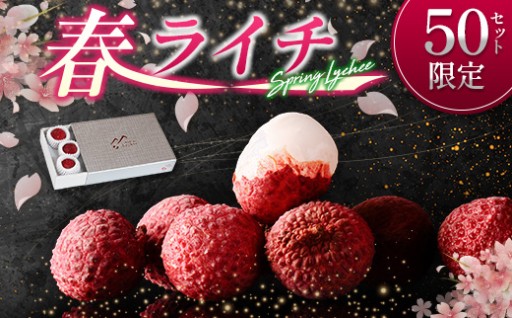 4月出荷の春ライチ🌸旬を先取り！［50セット限定］