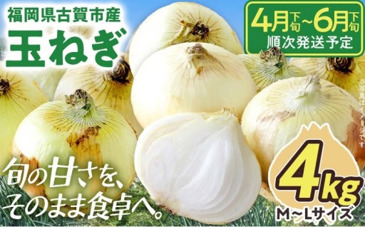 【毎日の料理に使いやすい♪】🧅国産玉ねぎ 4kg 【4月下旬～6月下旬頃に順次発送予定】🧅