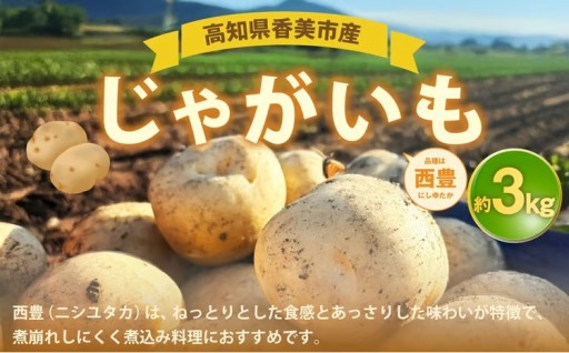 じゃがいも （ 西豊 ） 約3kg