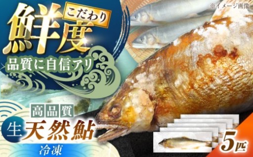 【先行予約】清流の薫りを食卓へ。付知川が育んだ天然あゆの贈り物