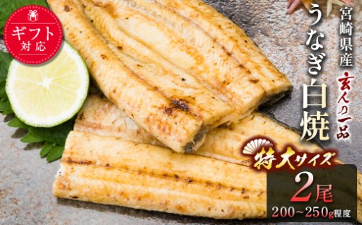 チョイス限定☝新富町自慢のうなぎ白焼き😋