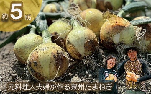 岸上農園 泉州玉ねぎ 約5kg