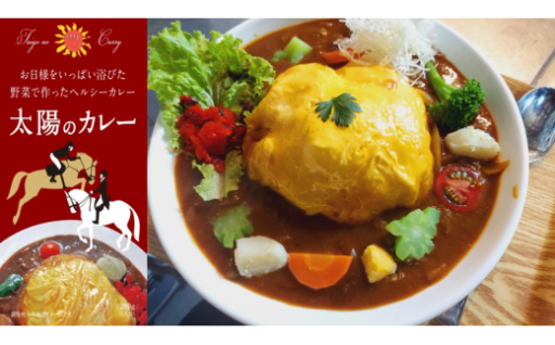 【大好評】太陽のカレー 200g × 5個